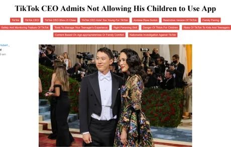 f Tiktoku svojim deom nedovouje pouva vlastn aplikciu